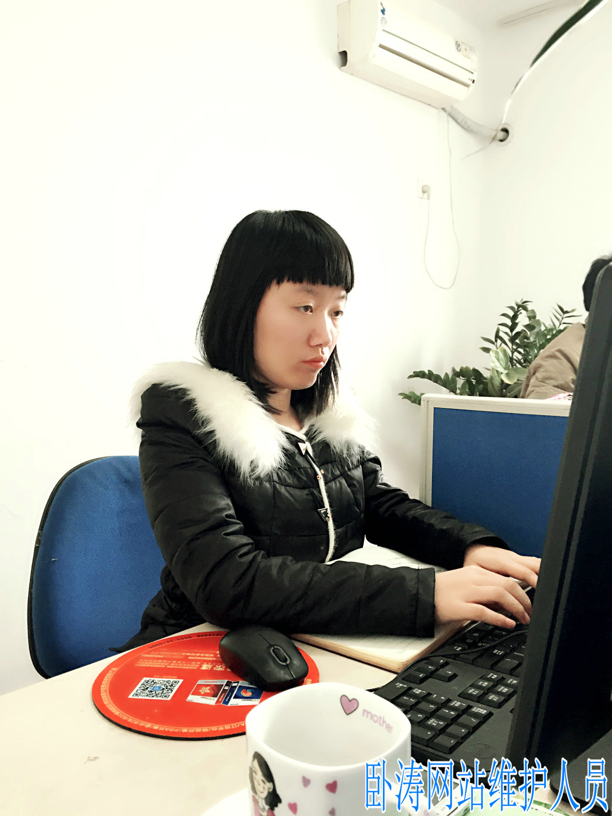 安徽臥濤風采-網站維護人員